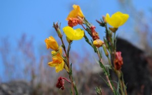 20101122-030240.jpg