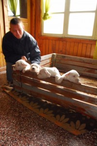 20101203-033824.jpg